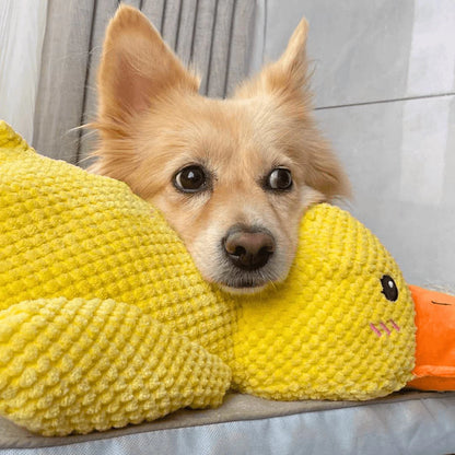 Stop Your Dog’s Anxiety in Minutes 🐾